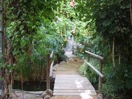 Domaine_du_GAZANIA_LA_SERRE_EXOTIQUE