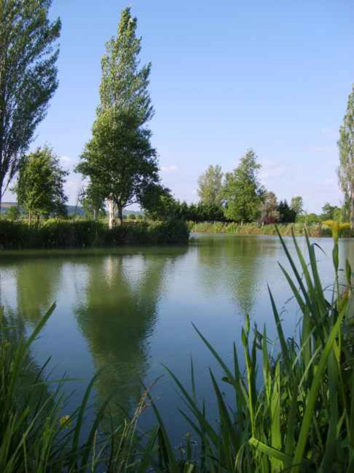 LAC