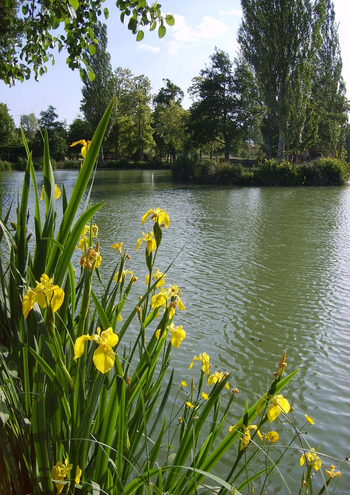 LAC