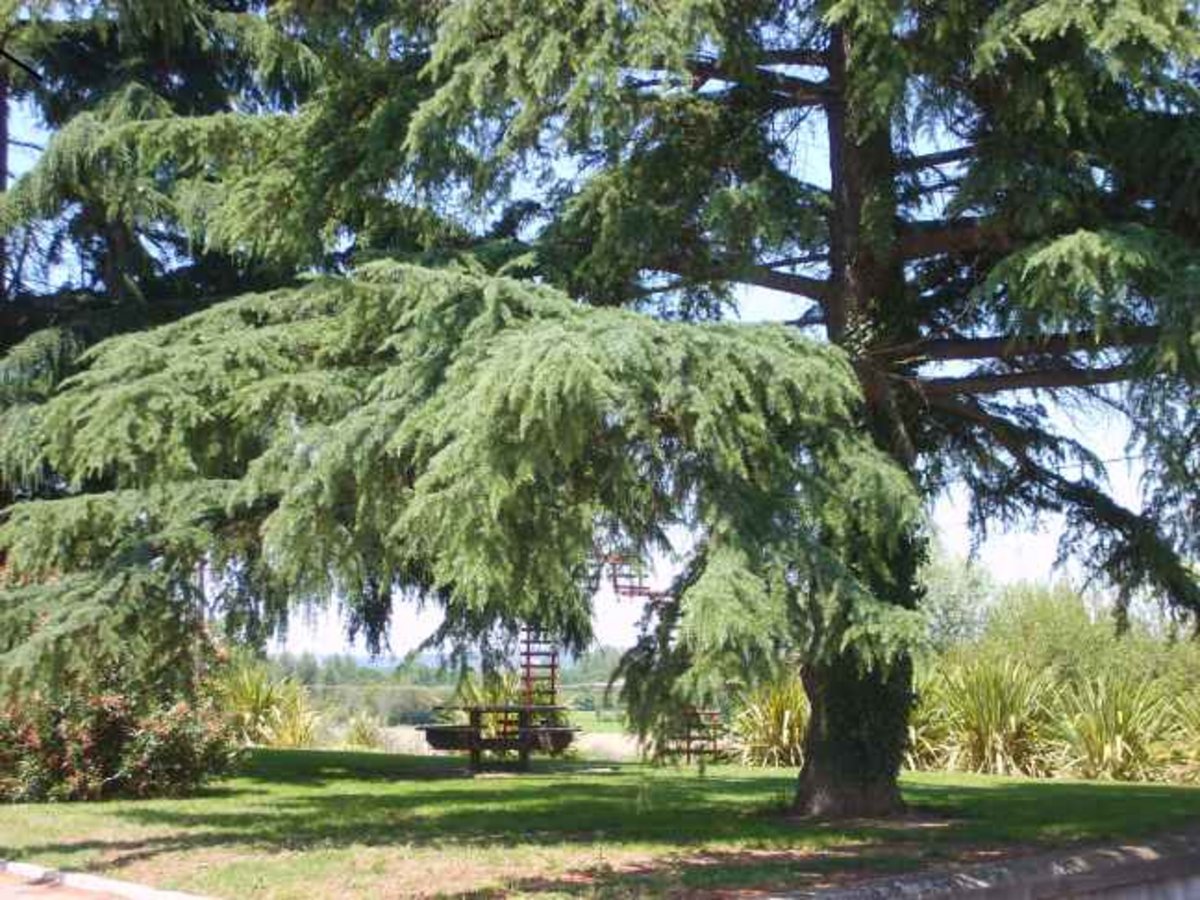 PARC