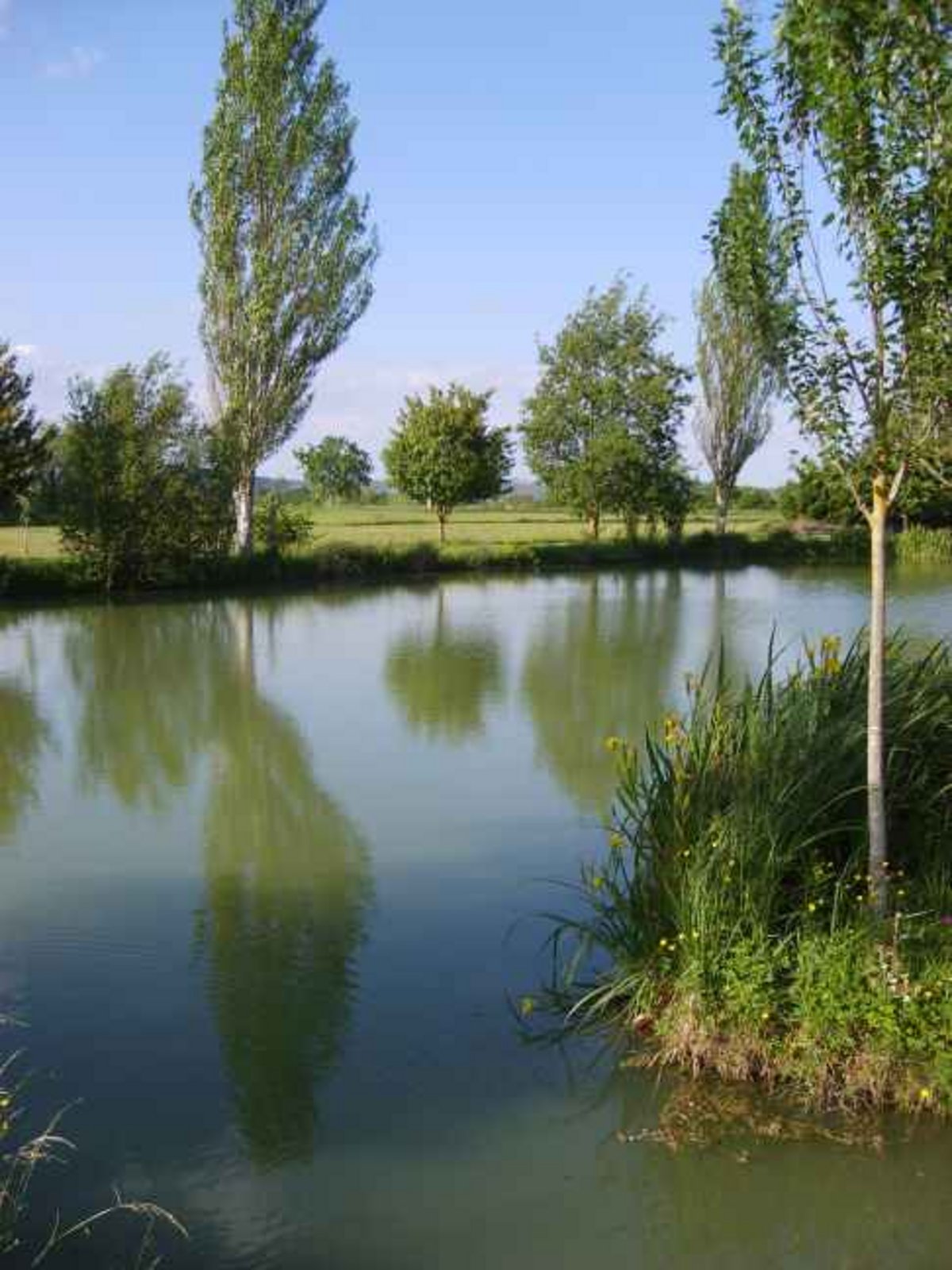 LAC